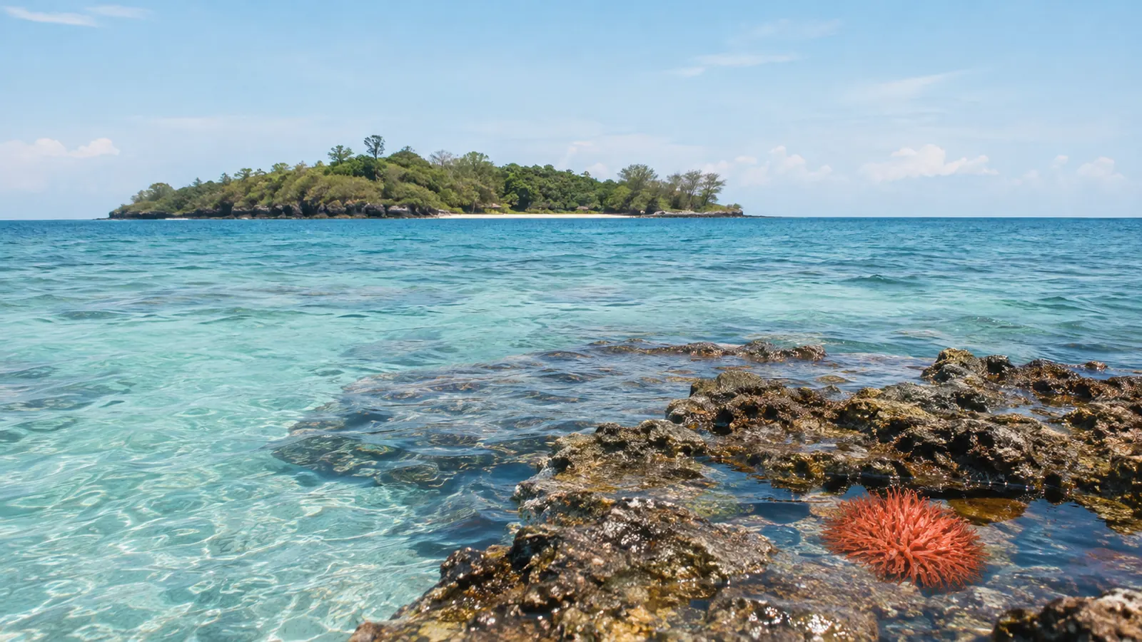 Prison Island (Changuu Island)