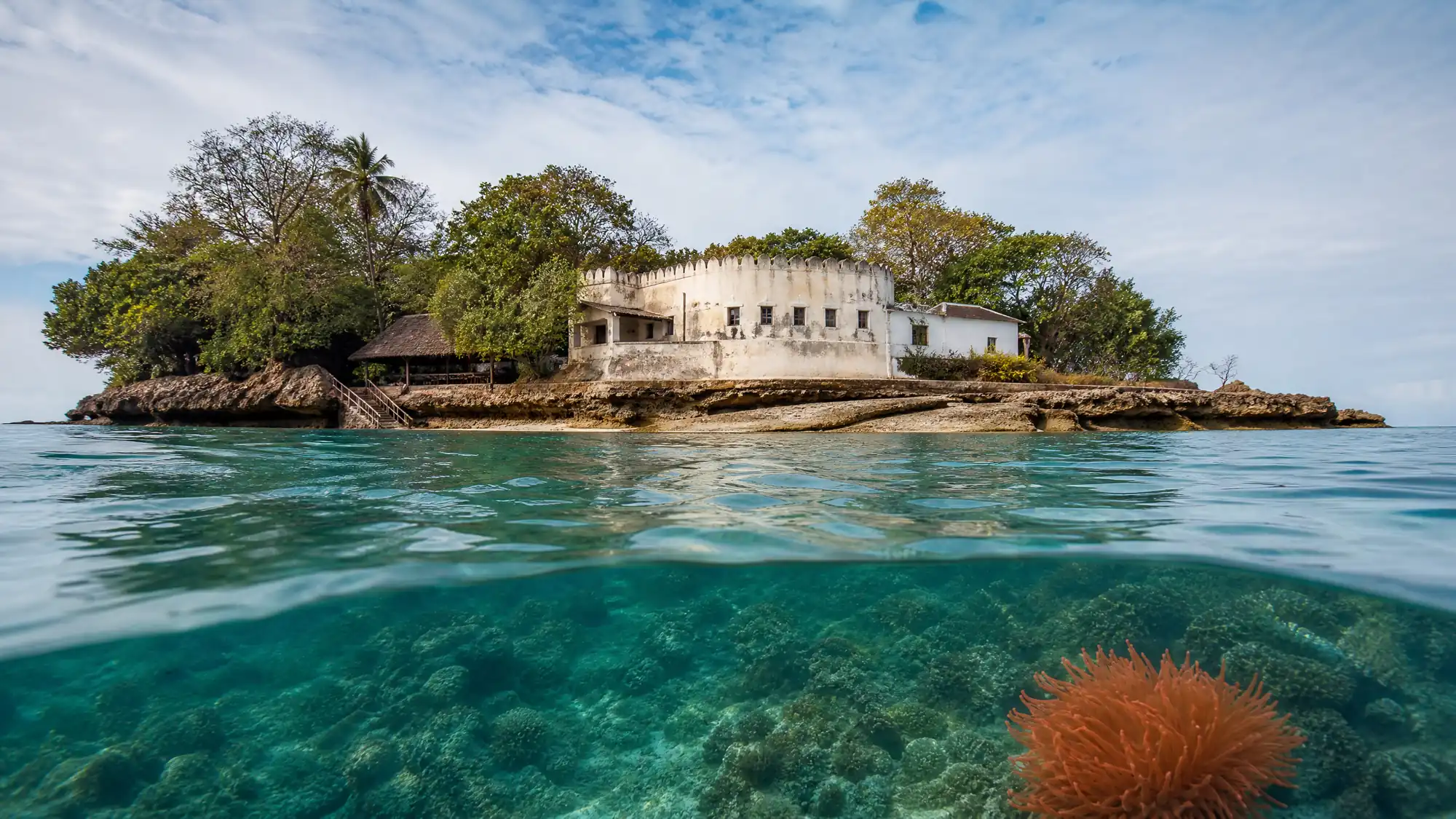 Erkunden Sie historische Ruinen und füttern Sie Aldabra-Riesenschildkröten. Diese 800 Meter lange Insel liegt nur eine kurze Bootsfahrt von Stone Town entfernt.